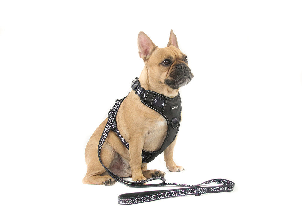 Black Block Harness