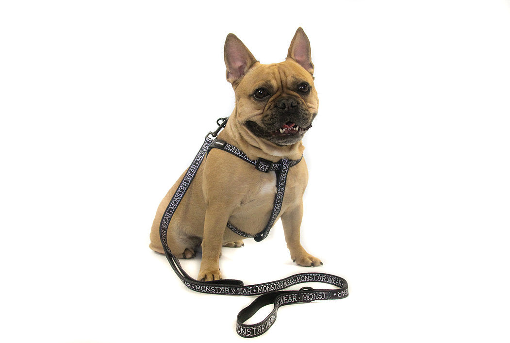 Black Block Dog Lead