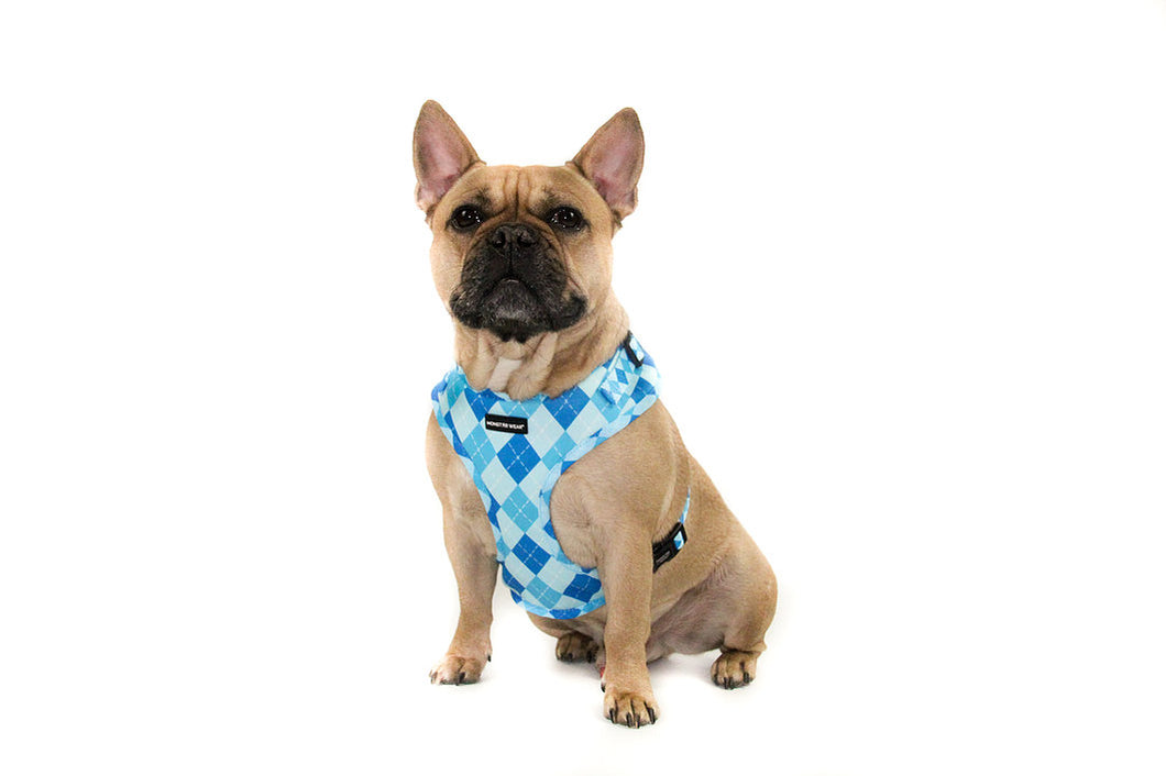 Golfing Blue Harness