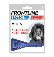 frontline spot on for dog over 40 up to 60 kg 1 pipette of 4.02ml